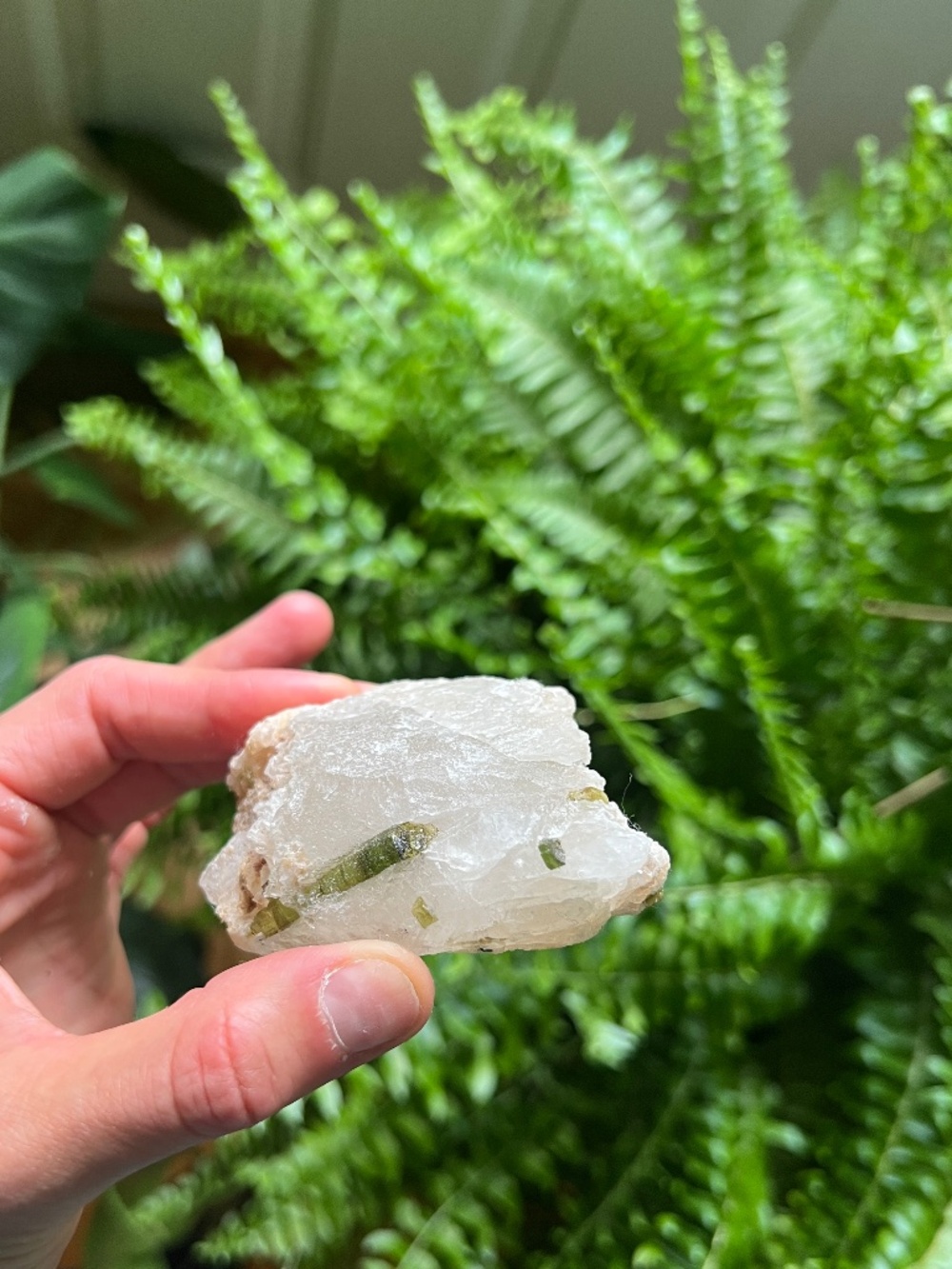 Green Tourmaline in Quartz | Crystal Gemstone
